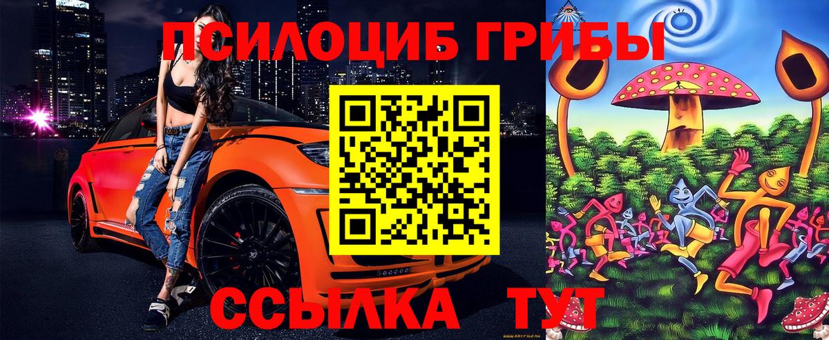 Псилоцибиновые грибы Psilocybine cubensis  Галлюциногенные грибы Psilocybine cubensis  Артёмовский  Вход с VPN 